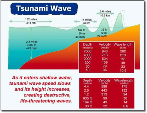 Tsunami wave characteristics